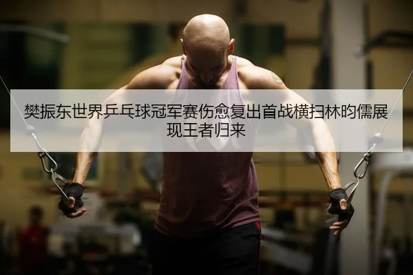 樊振东世界乒乓球冠军赛伤愈复出首战横扫林昀儒展现王者归来 - Kaiyuan Games